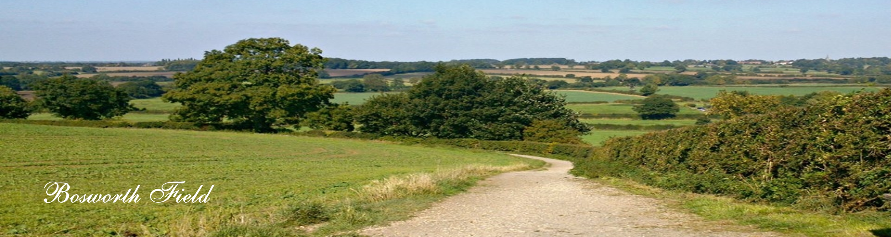 Bosworth field